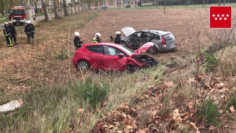 Gu&iacute;a para Testigos de Accidentes en San Mart&iacute;n de la Vega