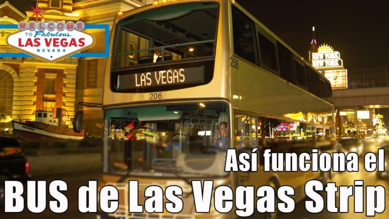 Calidad del Transporte Público Nocturno en San Martín de la Vega