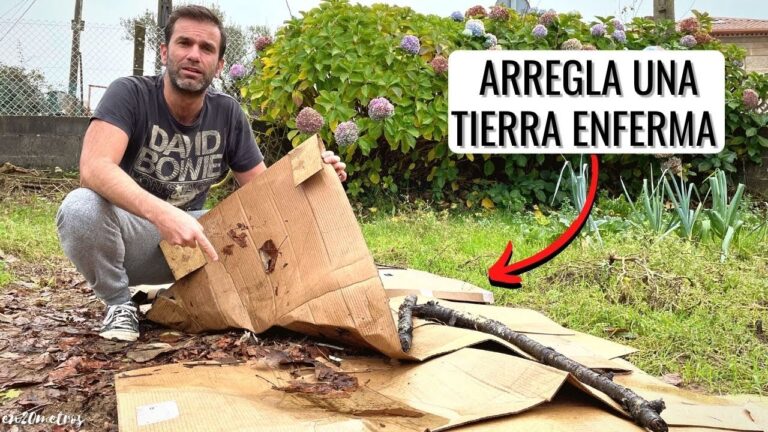 Cursos de jardinería en San Martín de la Vega: opciones y oportunidades
