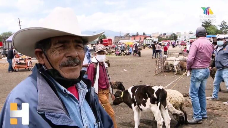 Gu&iacute;a de compras para mascotas en San Mart&iacute;n de la Vega