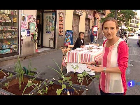 Plazas P&uacute;blicas en Torrej&oacute;n de la Calzada: Descubre las Mejores Opciones